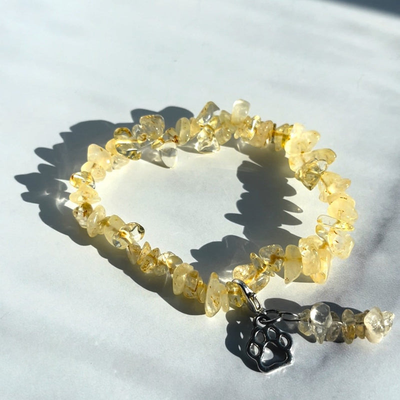 Golden Paw Citrine Charm Bracelet